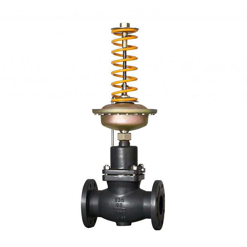 Carbon Steel Self-Operated Pressure Control Valve